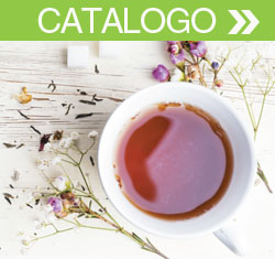 Catalogo Darmar